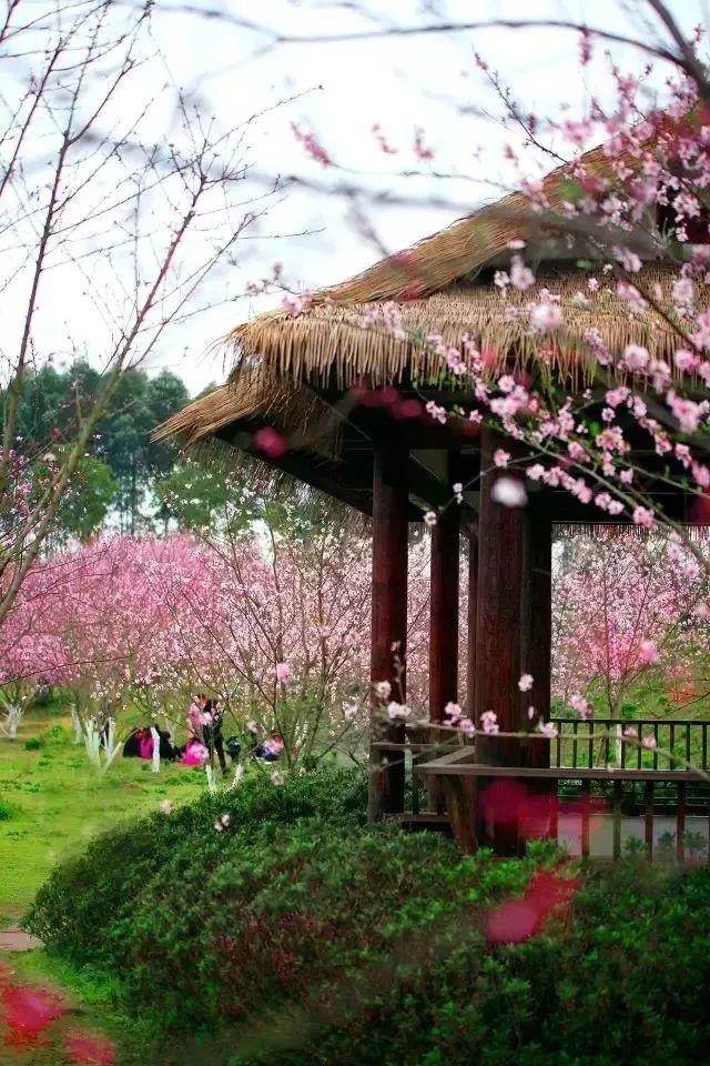 2011年湖南老妇刚下葬，其儿子连续几天梦见，挖坟开棺后吓坏众人